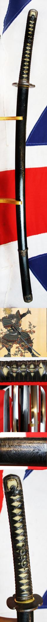 A Most Fine and Impressive Samurai Horseman's Handachi Katana. Shinto Period From the 1600's Around 400 Years Old. Semi Tachi Mounted. Dressed in a Full Suite Of Matching Original Edo Koshirae. Designed To Be Worn & Used In Combat Upon Horseback