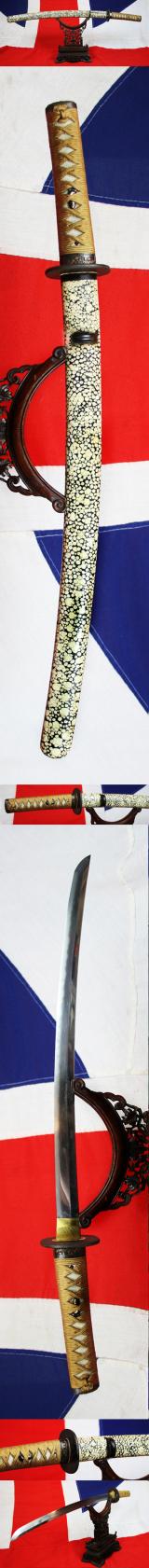 A Simply Beautiful Shinto Era, Edo Period Samurai Wakazashi Sword, Circa 1700, With A Very Fine Midare Hamon Blade, With A Fabulously Beautiful, Hand Polished, Samegawa Saya { Giant Rayskin Covered Scabbard}. And a Wonderful Hilt Bound In Golden Silk