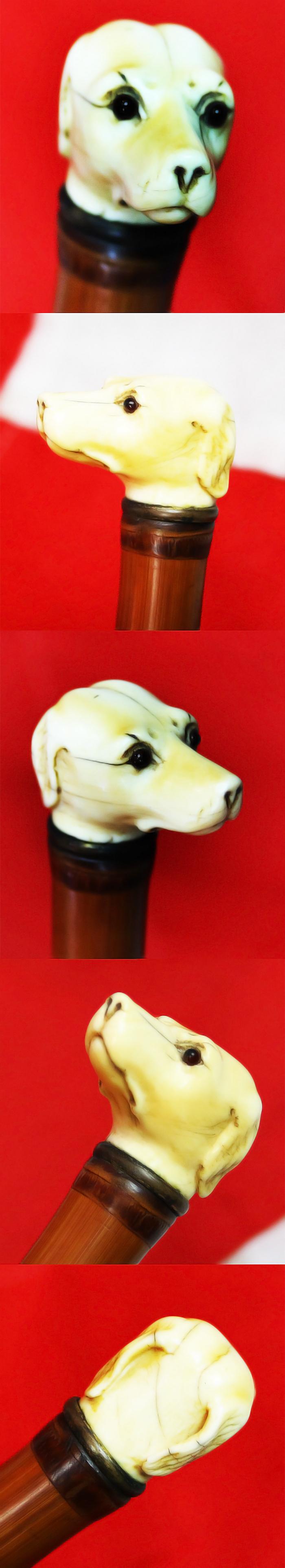 A Fine, Original, 19th Century Antique, King George IIIrd Carved Hound's Head Long Bladed Swordstick. Carved Ivory Head & Blue and Gilt Finely Engraved Steel Blade. Finest Quality Bamboo Handle and Haft
